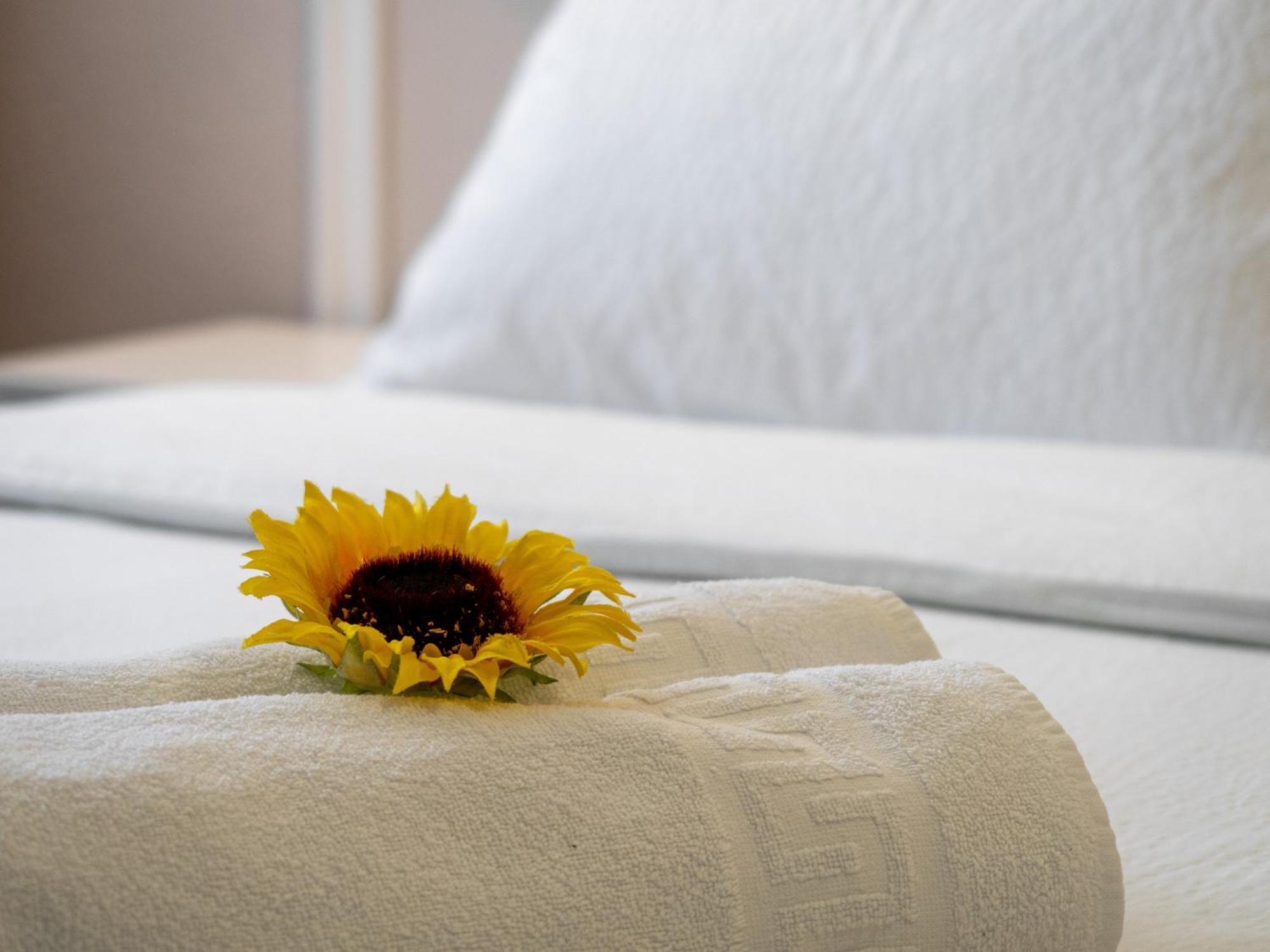 Apartment Ivica Zadar Ngoại thất bức ảnh